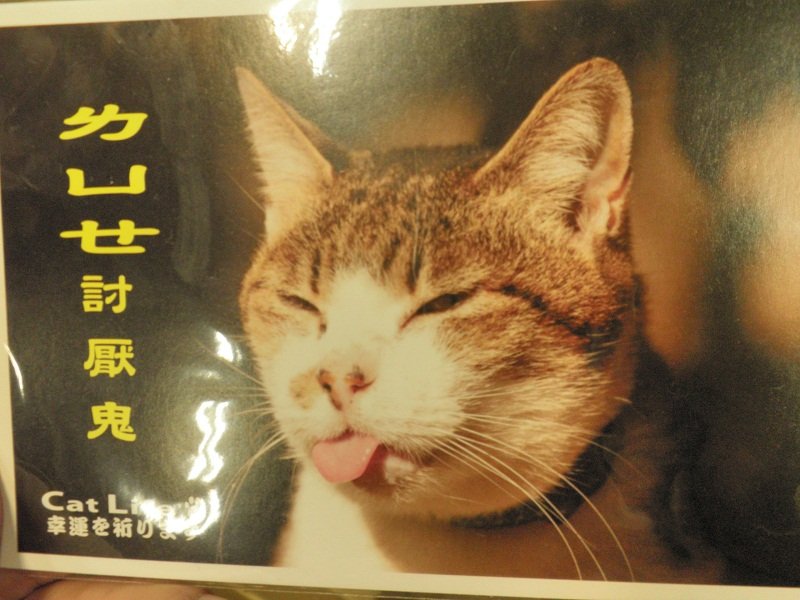 52.jpg