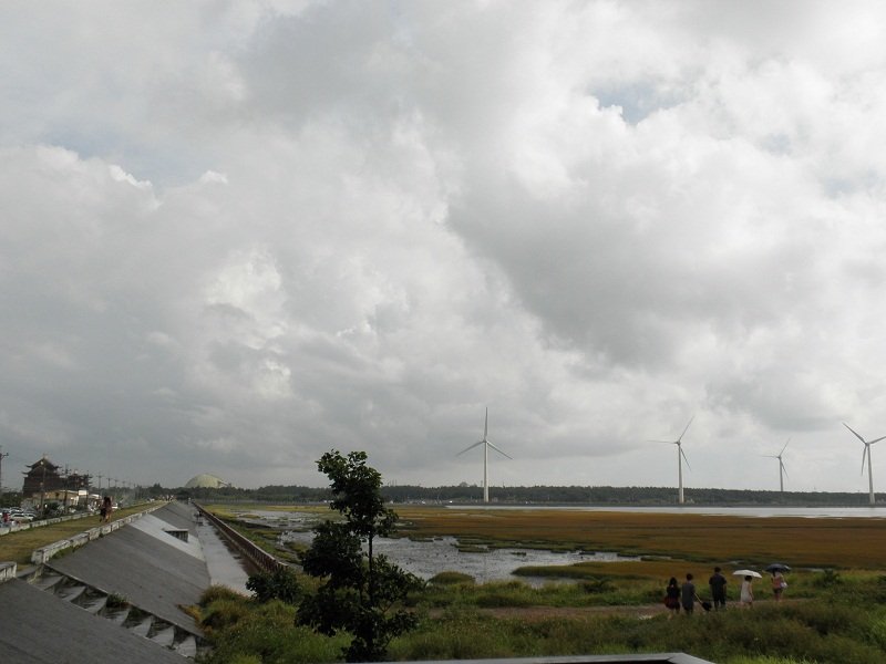 84.jpg