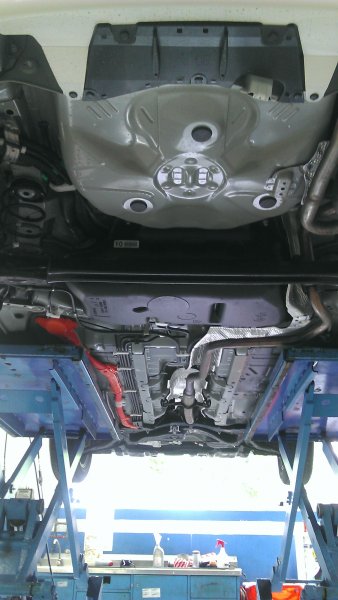 IMAG0786.jpg