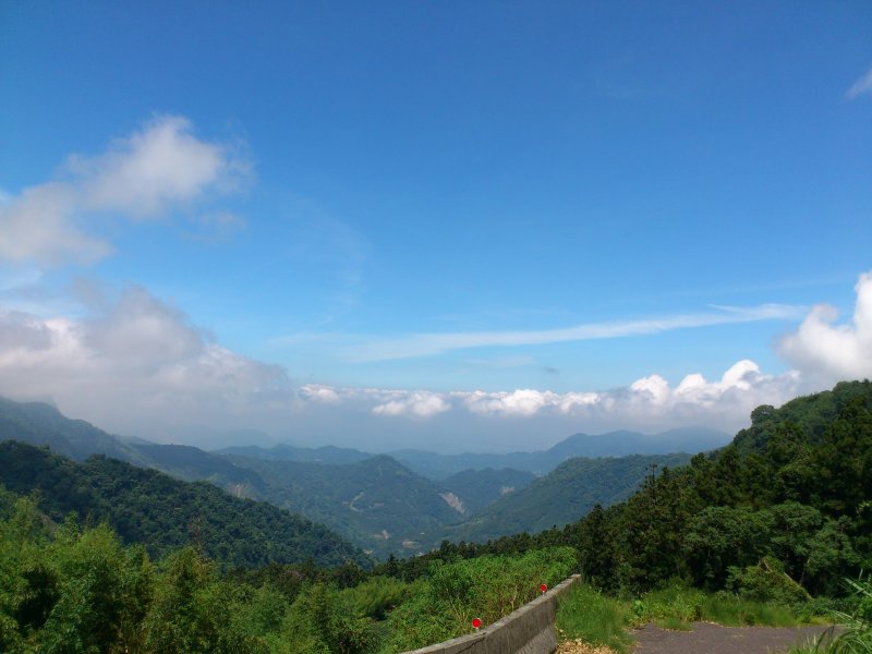 DSC_1299.JPG
