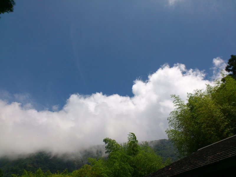 DSC_1342.JPG
