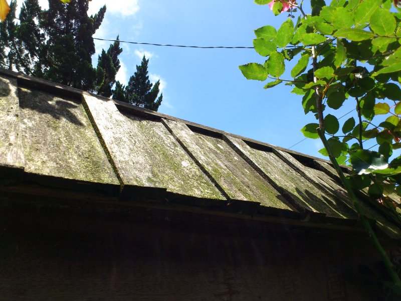 DSC_1347.JPG