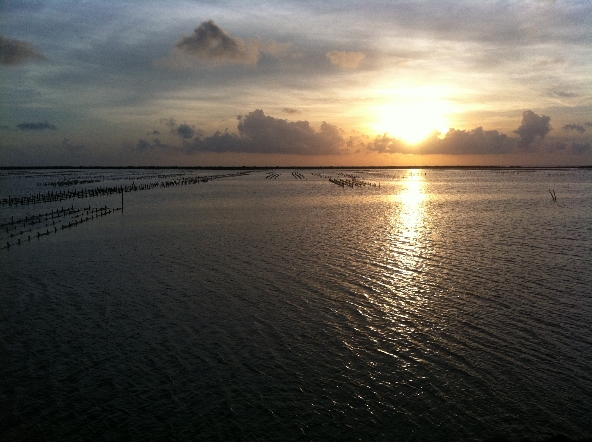 IMG_0824.JPG