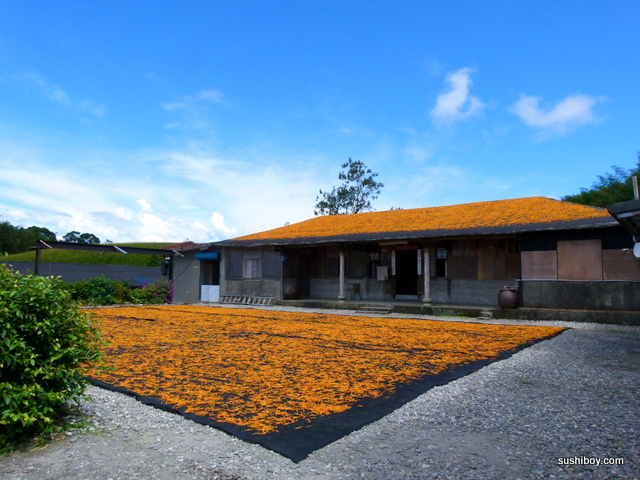 15-2012.09.07.09.57.40_646.JPG