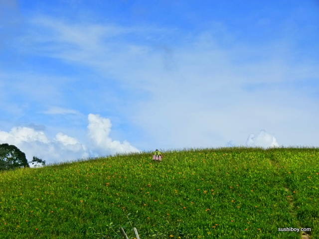 16-2012.09.07.09.59.52_655.JPG