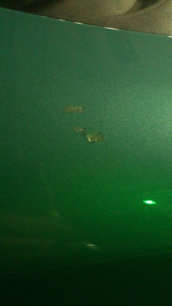 DSC_0229.jpg
