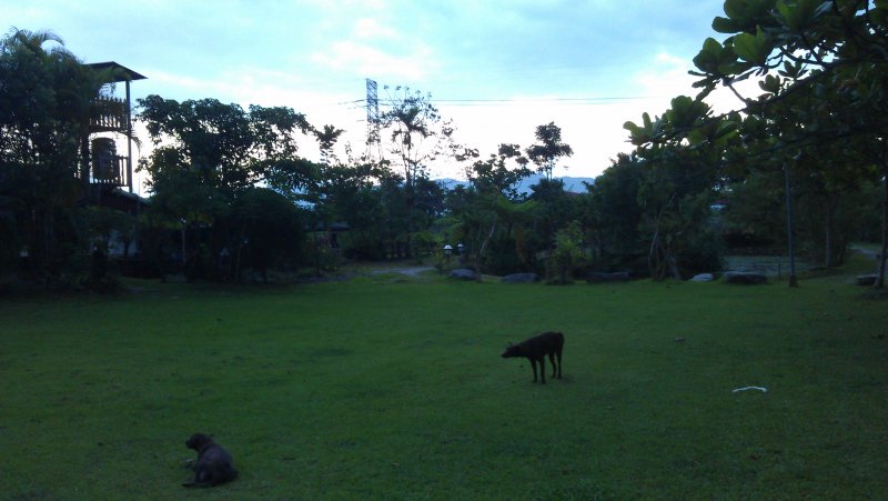 2012-10-05 17.29.11.jpg