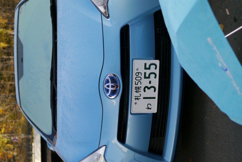 P1080637 (800x535).jpg