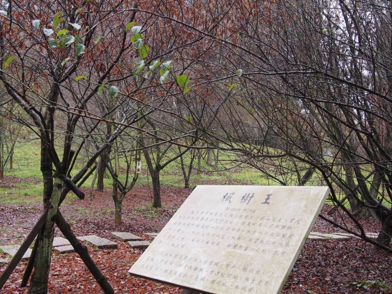 96.jpg