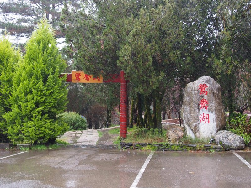 98.jpg