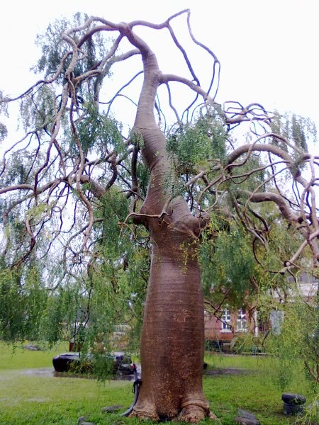 20121130545.jpg