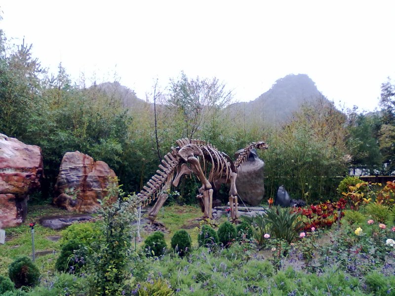 20121130547.jpg