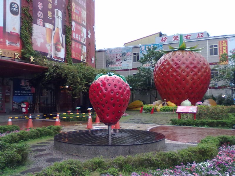 20121130566.jpg