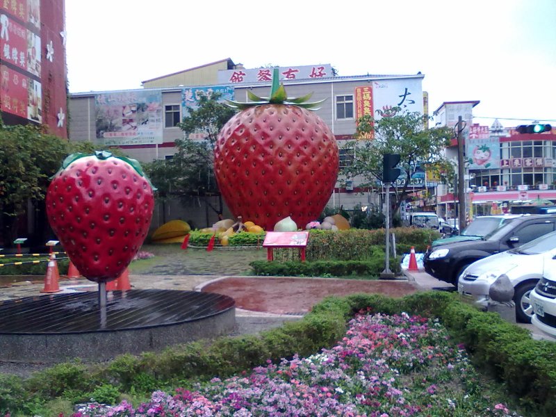 20121130567.jpg