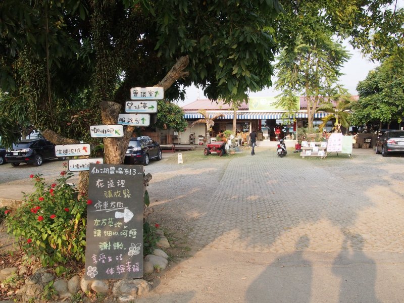 65.jpg