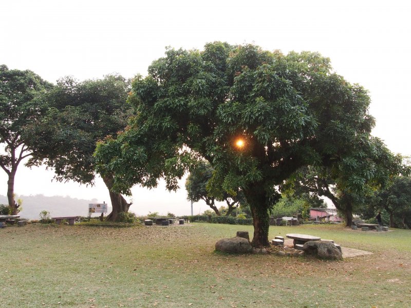 118.jpg