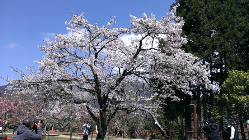 IMAG0774.jpg