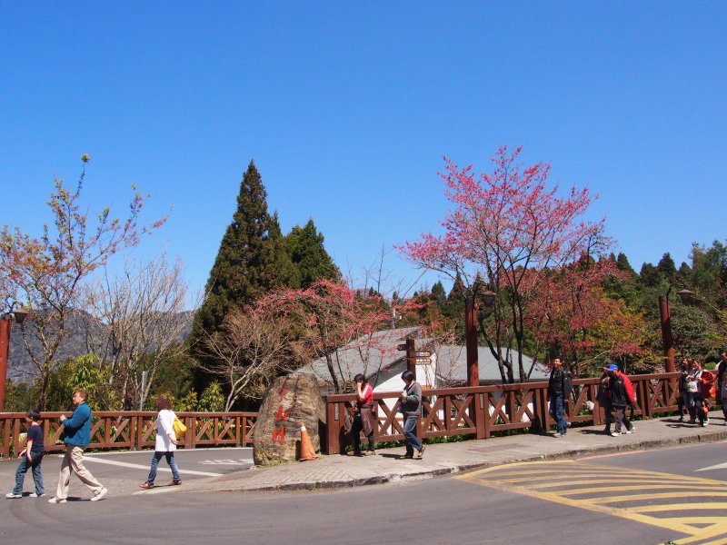 P3090021.JPG
