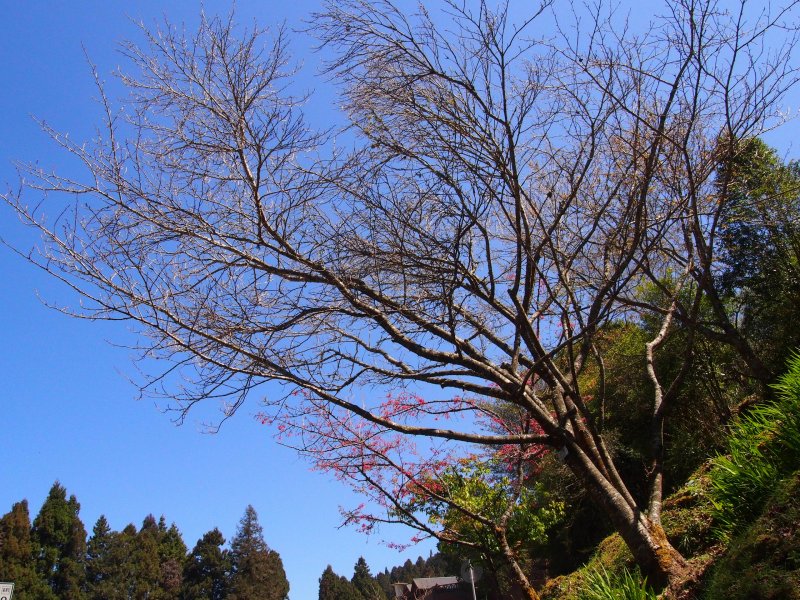 P3090025.JPG
