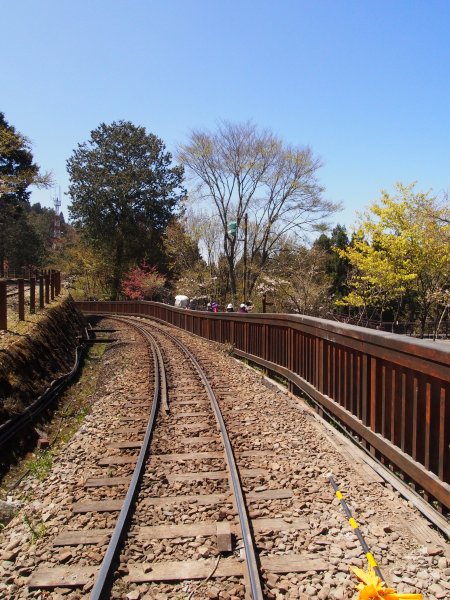 P3090068.JPG