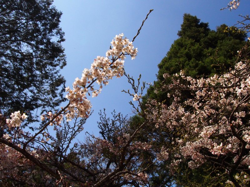 P3090105.JPG