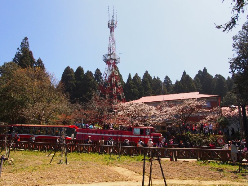 P3090151.JPG