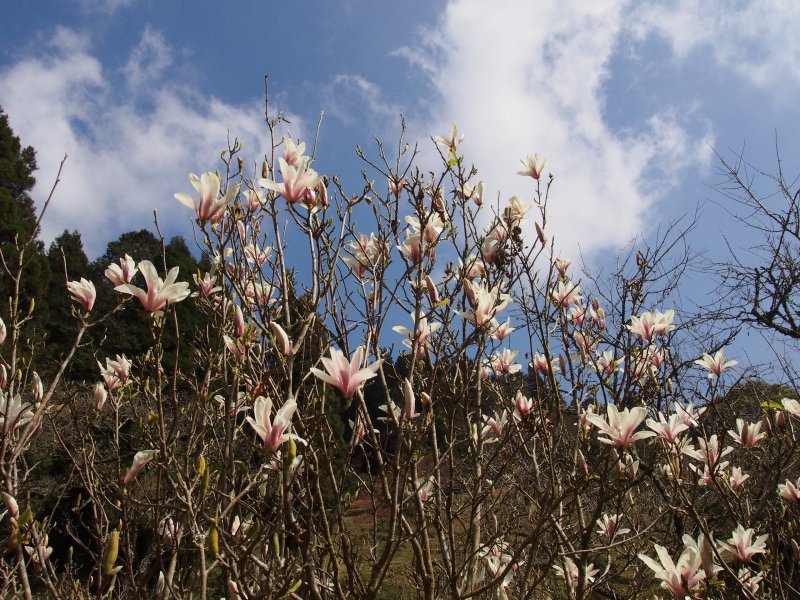P3090260.JPG