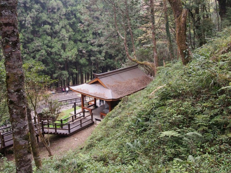 P3090321.JPG