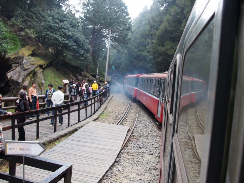 P3090359.JPG