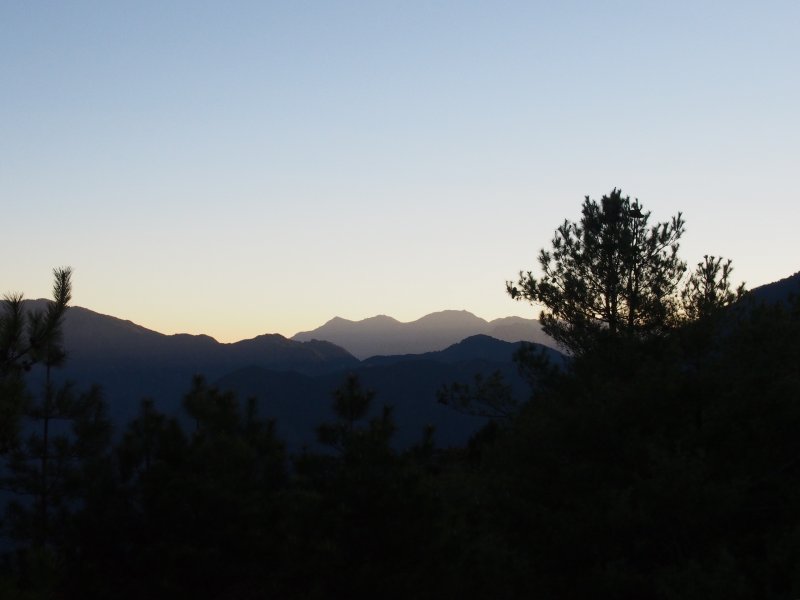 P3100503.JPG