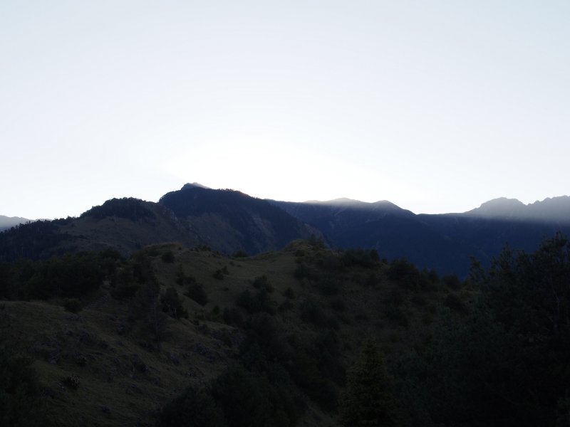 P3100564.JPG