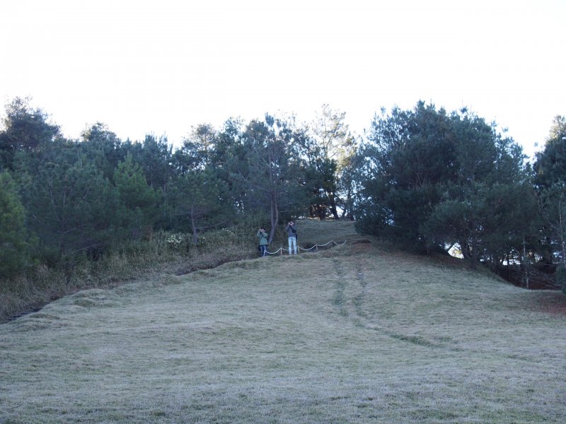 P3100623.JPG