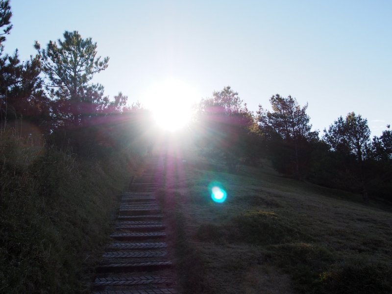 P3100626.JPG