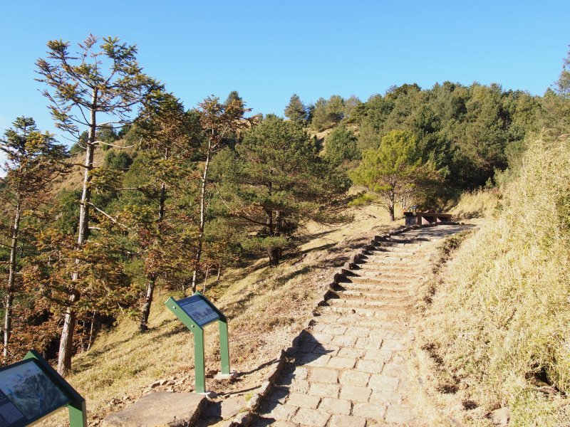 P3100644.JPG