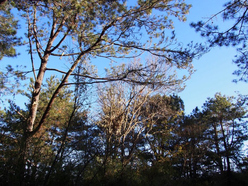 P3100653.JPG