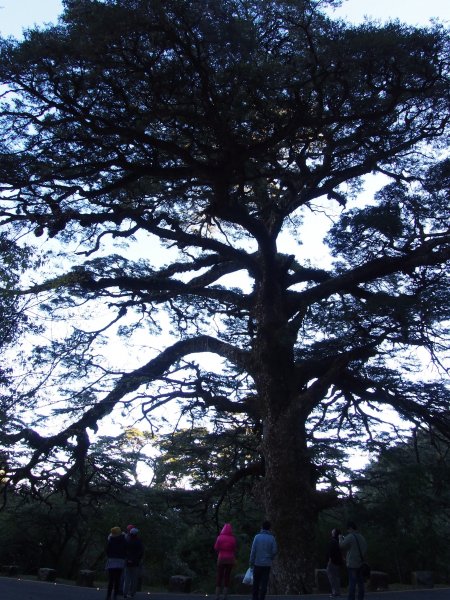 P3100668.JPG