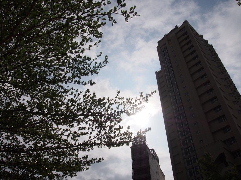 P5181616.JPG