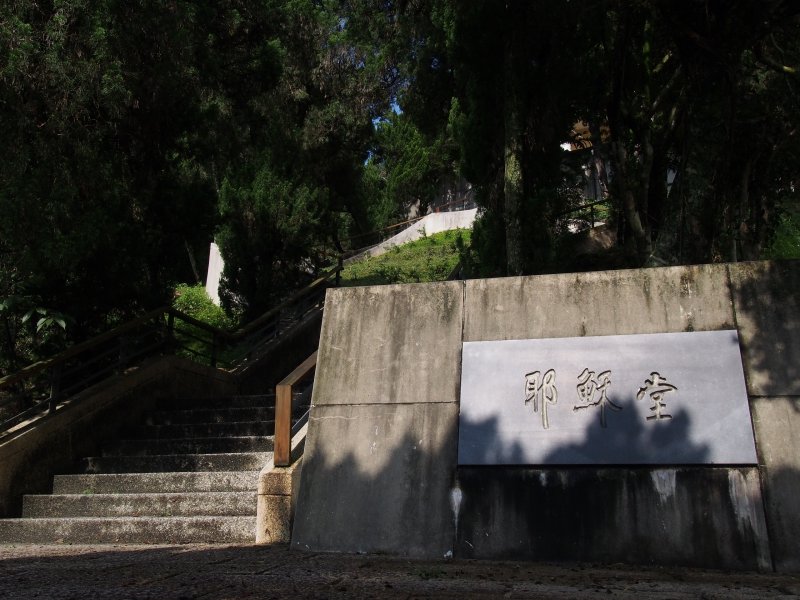 P5181685.JPG