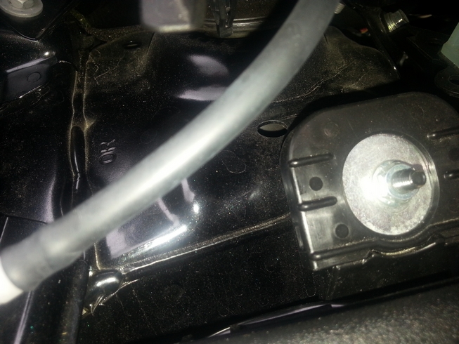 20130603_162119.jpg