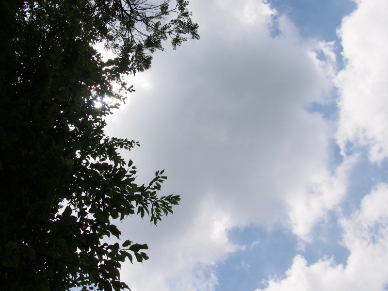 P6080424.jpg