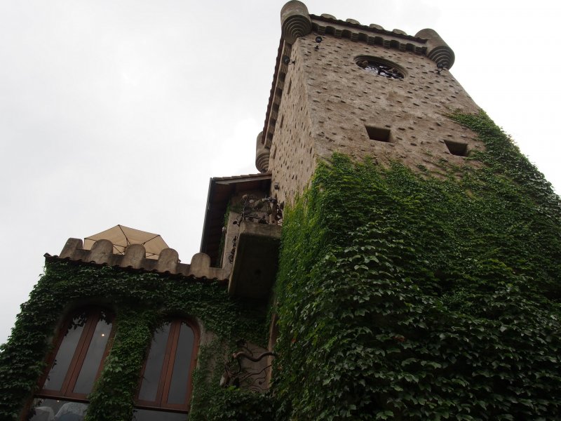 P7071103.jpg