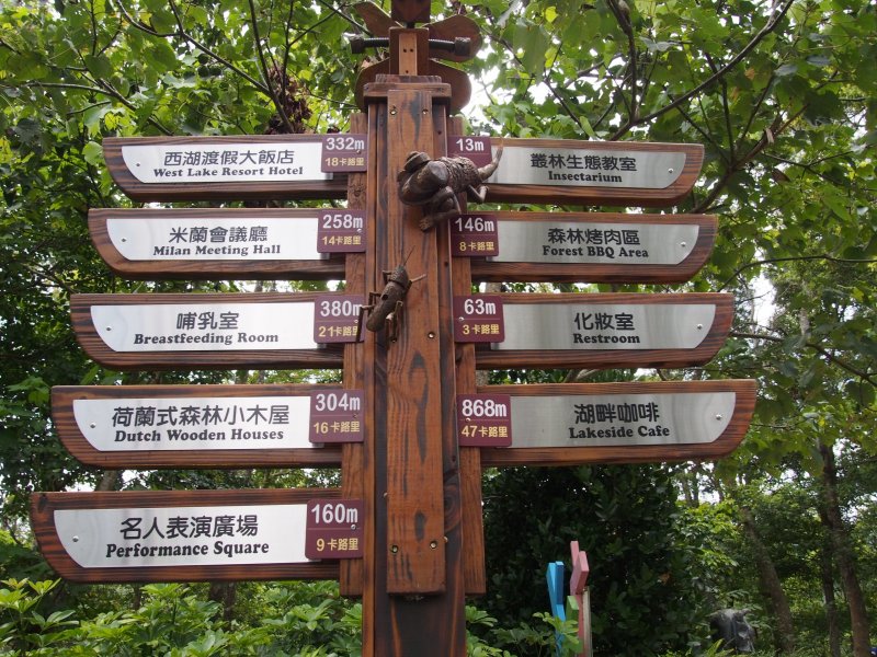 26.jpg