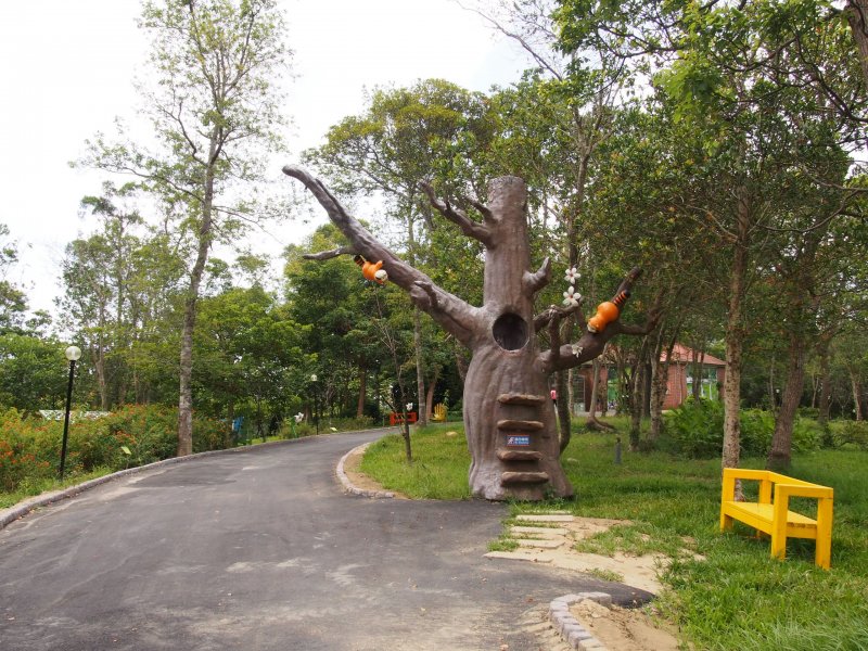 39.jpg
