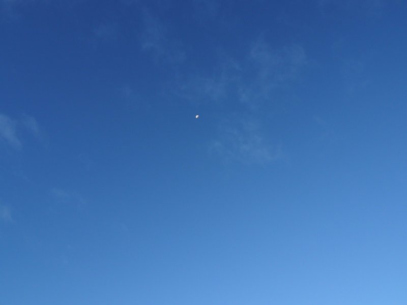 PB240426.jpg
