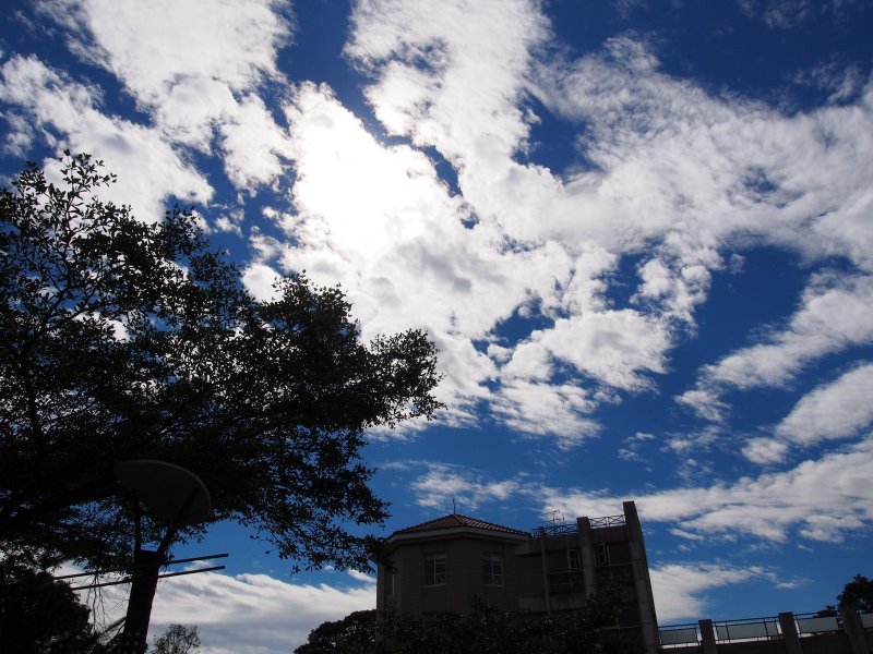 PB240590.jpg