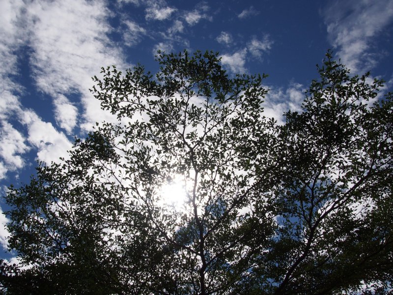PB240592.jpg