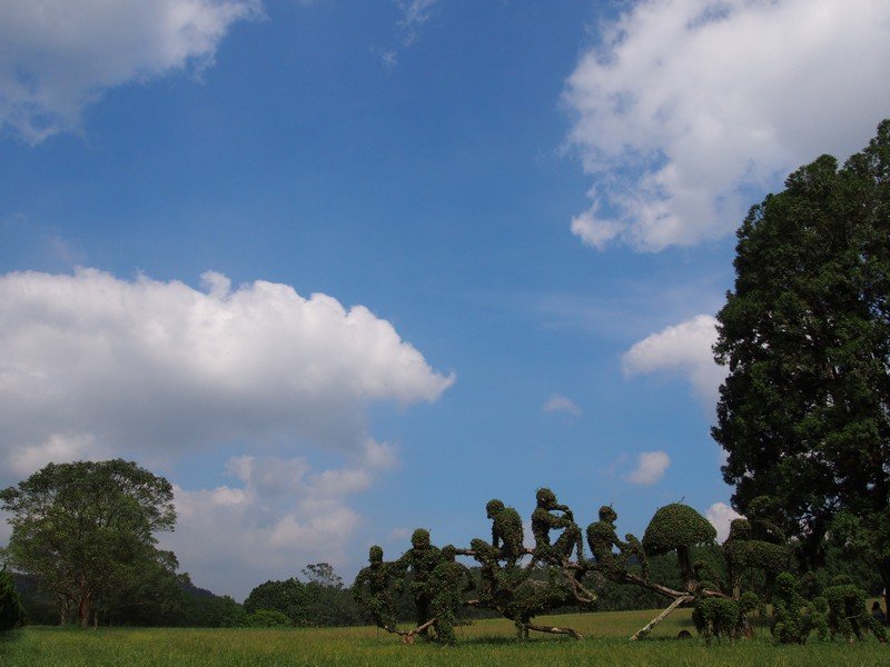 PA130515.jpg