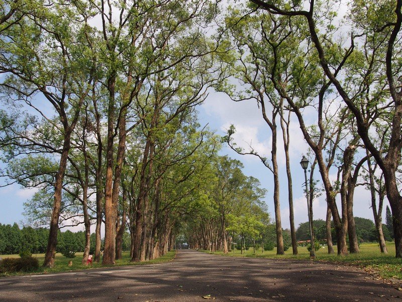 PA130516.jpg