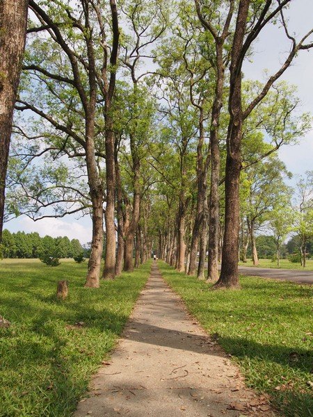 PA130522.jpg