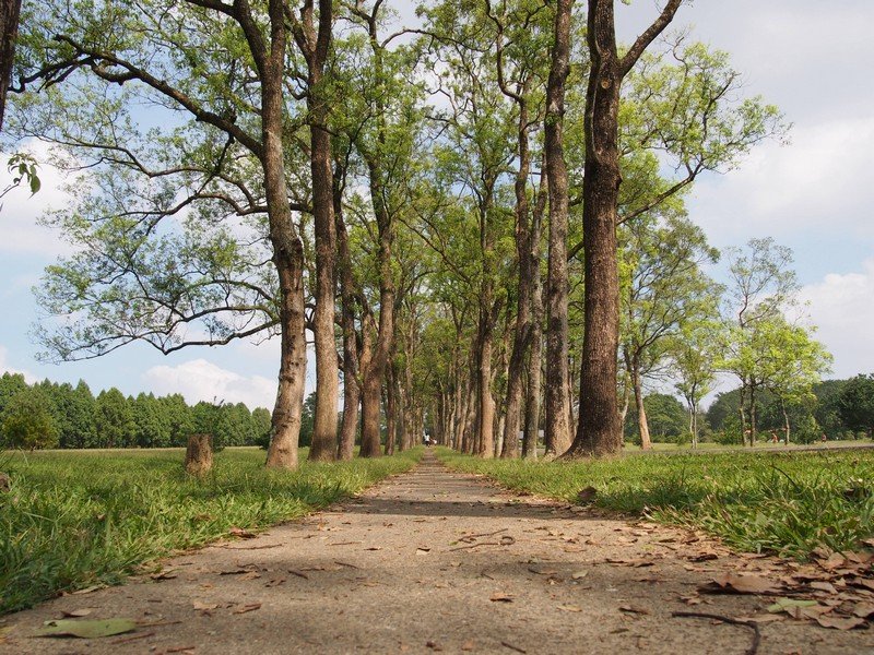PA130523.jpg